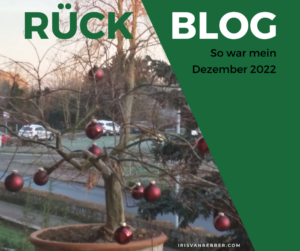 Read more about the article Monatsrückblick Dezember: zwischen den Jahren kann für mich gerne bis Mitte Januar gehn!