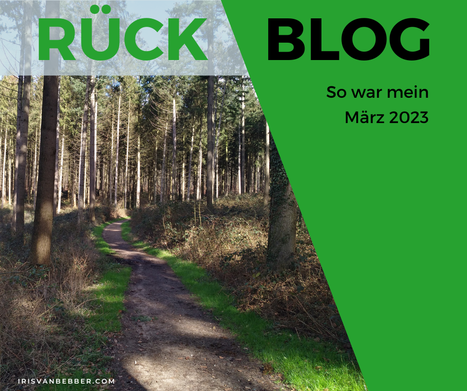 You are currently viewing Monatsrückblick März 2023: Ärmel hoch und nochmal das Ganze