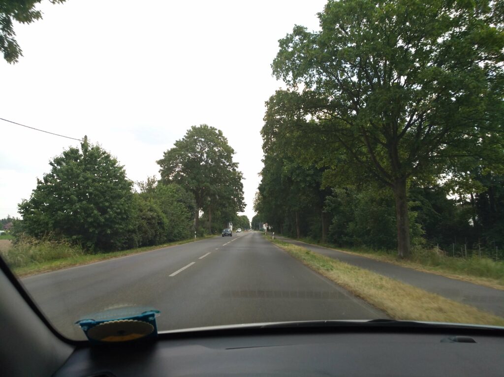 Ausblick durch die Windschutzscheibe aus dem fahrenden Auto über Landstraße