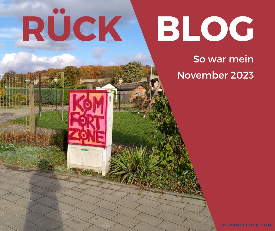 You are currently viewing Monatsrückblick November 2023: mein Leben und Wirken als buntes Potpourri