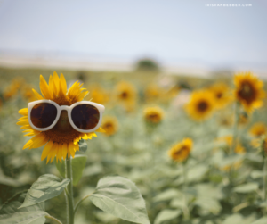 Mehr über den Artikel erfahren Seasons-Liste Sommer 2025 – meine Wünsche, Pläne und Ziele bis zum Herbst