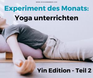 Mehr über den Artikel erfahren Experiment des Monats im Juni 2025: Yoga unterrichten – Yin Edition Teil 2