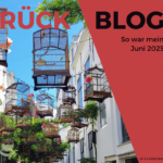 Monatsrückblick Juni 2025: Jahreshalbzeit