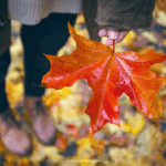 Seasons-Liste Herbst 2025 – meine Wünsche, Pläne und Ziele bis zum Winter