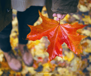 Mehr über den Artikel erfahren Seasons-Liste Herbst 2025 – meine Wünsche, Pläne und Ziele bis zum Winter