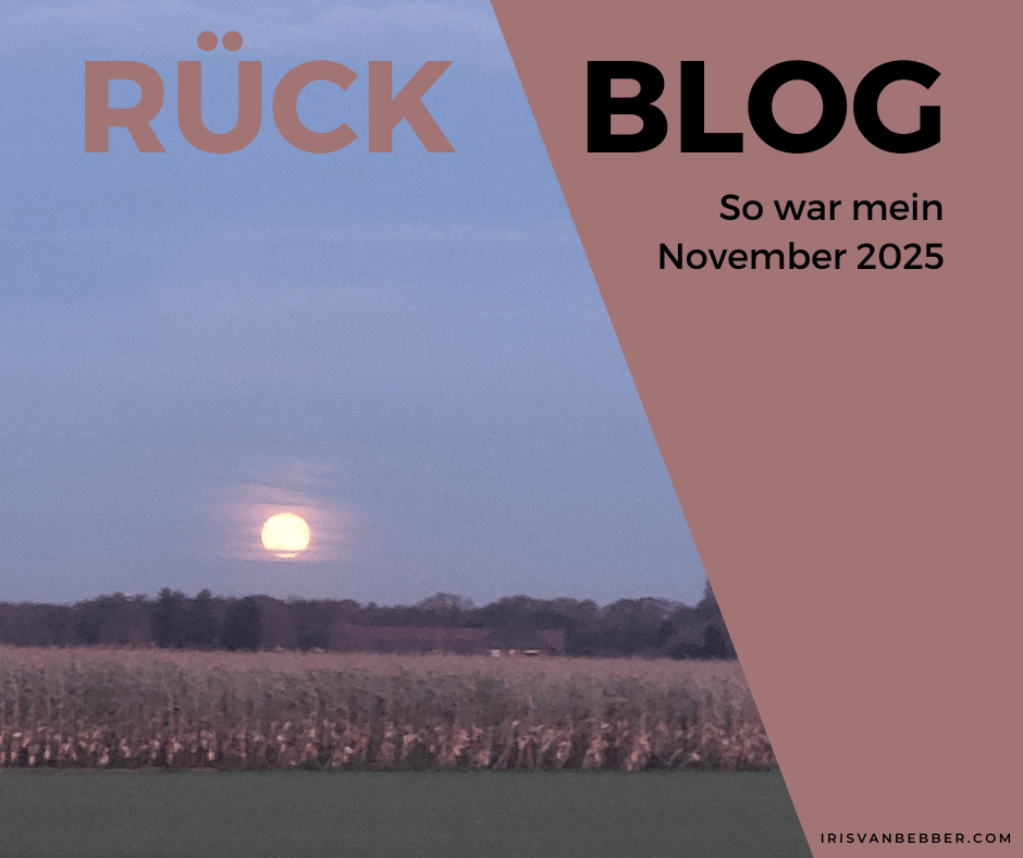 Du betrachtest gerade Monatsrückblick November 2025: Übergangszeit