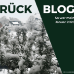 Monatsrückblick Januar 2026: Wintering