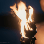 Mit den 5 Elementen durchs Jahr – das Element Feuer: der Sommer