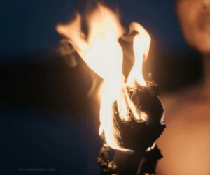 Mehr über den Artikel erfahren Mit den 5 Elementen durchs Jahr – das Element Feuer: der Sommer