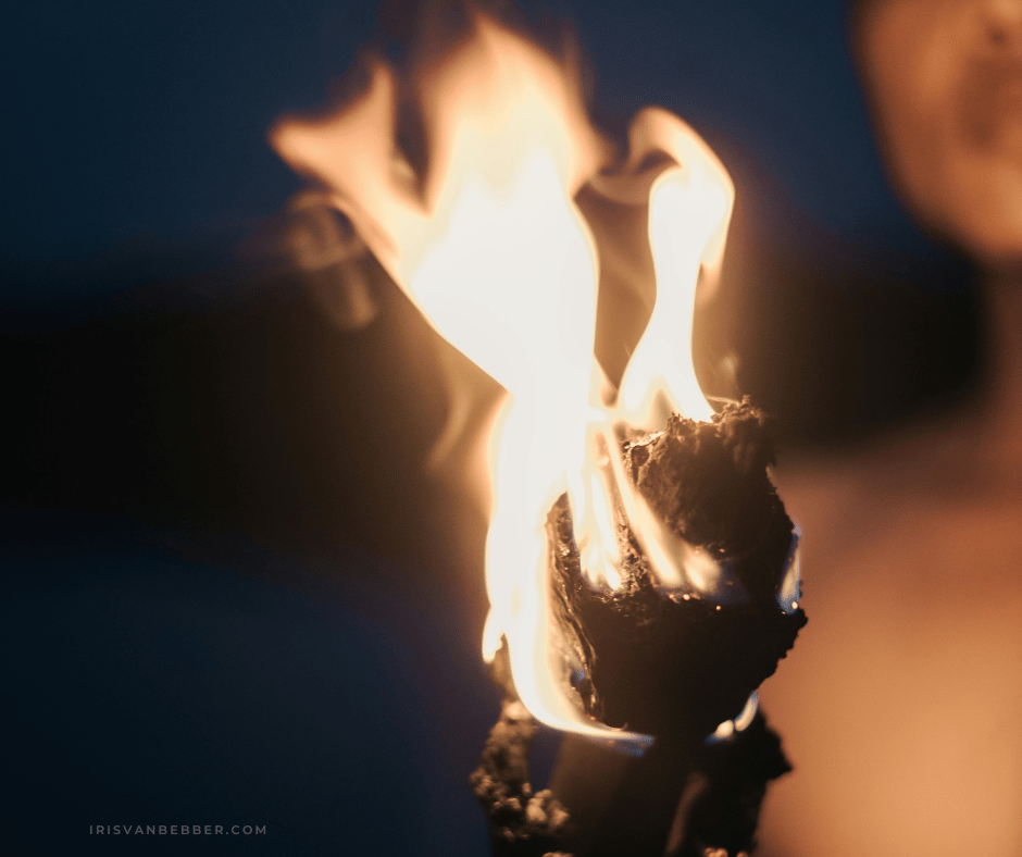Du betrachtest gerade Mit den 5 Elementen durchs Jahr – das Element Feuer: der Sommer