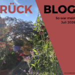 Monatsrückblick Juli 2026: Meilenstein und Pausenmusik