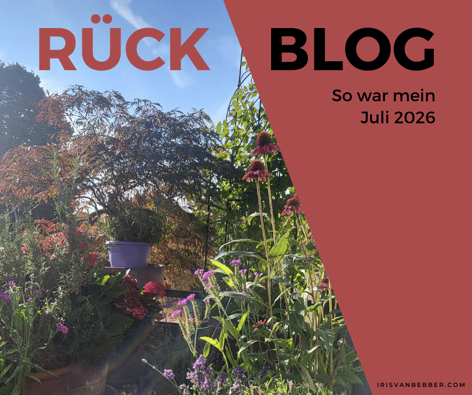 Du betrachtest gerade Monatsrückblick Juli 2026: Meilenstein und Pausenmusik